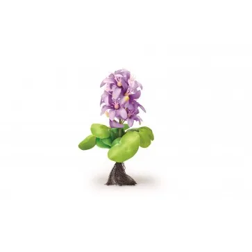 Pontec PondoHyacinth Blooming