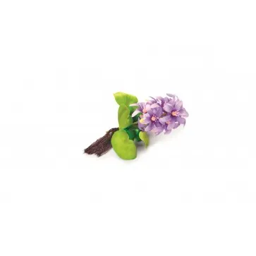 Pontec PondoHyacinth Blooming