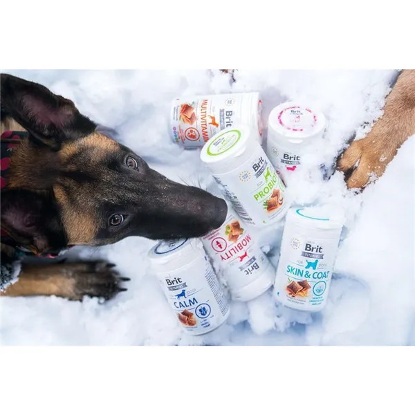 Brit Vitamins Puppy 150 g 