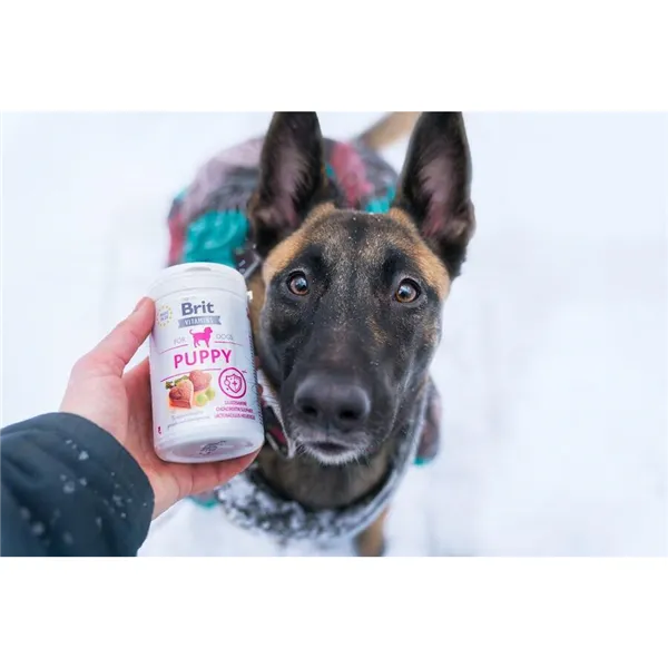 Brit Vitamins Puppy 150 g 