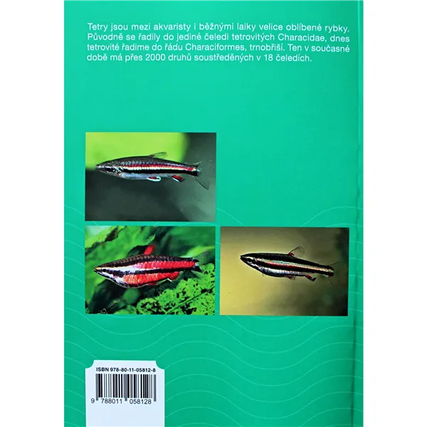 Drobnoústky a štíhlotělky Dr. Vladko Bydžovský