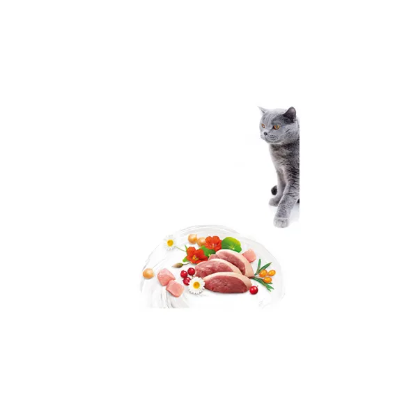 Brit Care Cat Grain-Free Sterilized Weight Control 2 kg