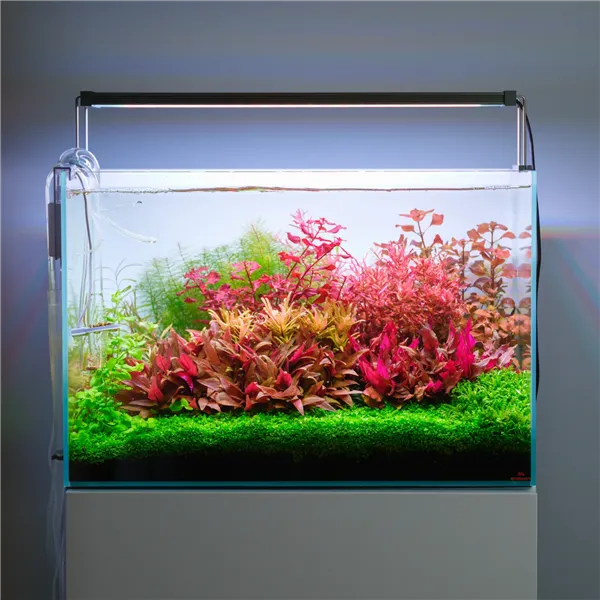 Twinstar V 900S 100 W – LED osvětlení pro akvária do 100 cm (s ovladačem)