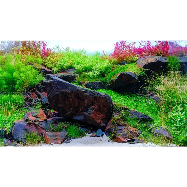 Twinstar V 200S 17 W – LED osvětlení pro akvária do 25 cm (s ovladačem)