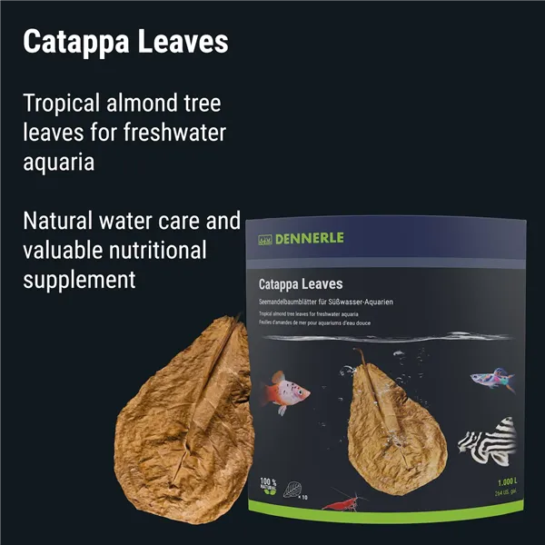 DENNERLE CATAPPA LEAVES 12lístků