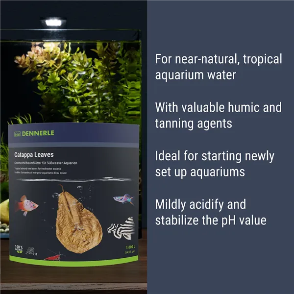 DENNERLE CATAPPA LEAVES 12lístků