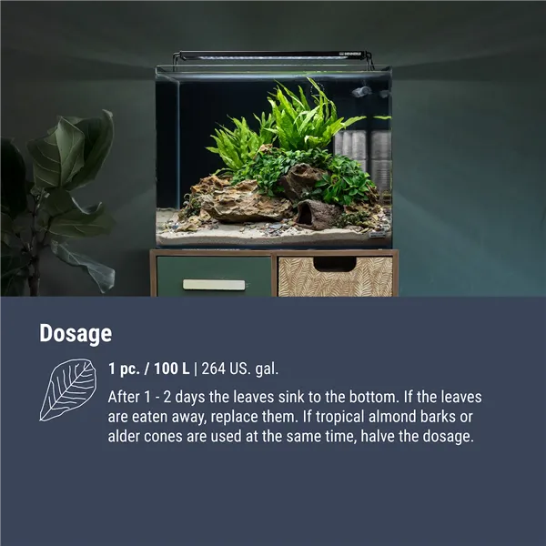 DENNERLE CATAPPA LEAVES 12lístků