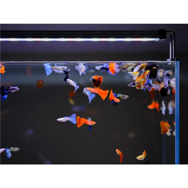 Twinstar III 60B se stmívačem na akvária do 70 cm