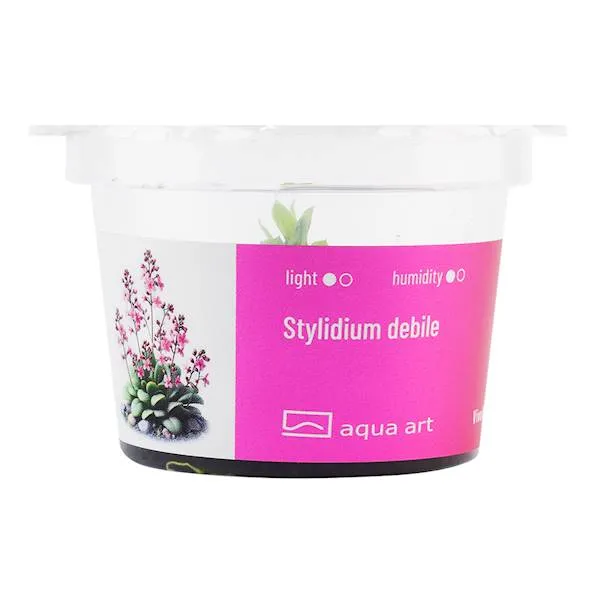 Aqua Art Stylidium debile