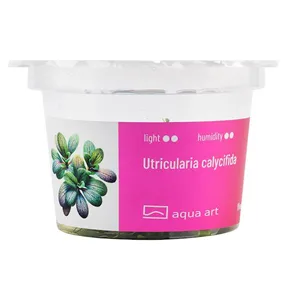 Aqua Art Utricularia calycifida