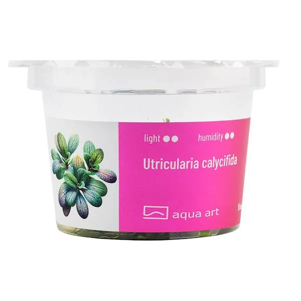 Aqua Art Utricularia calycifida