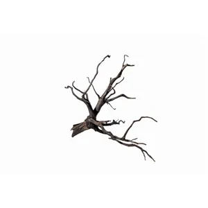 Kořen Black Root S 25-30 cm Kořen Black Root S 25-30 cm