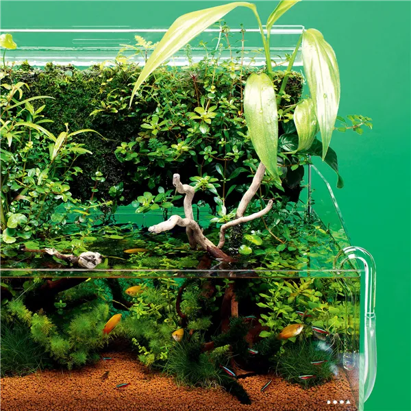 DOOA Výtok pro Wabi-kusa Wall 60